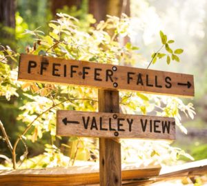 Pfeiffer Falls Trail signage