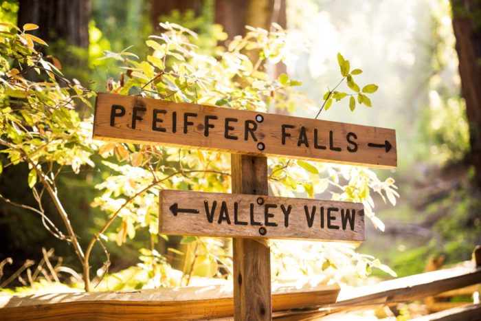 Pfeiffer Falls Trail signage