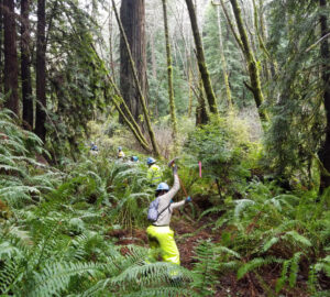 People in bright yellow clothes build a trail surrounded by lush foliage