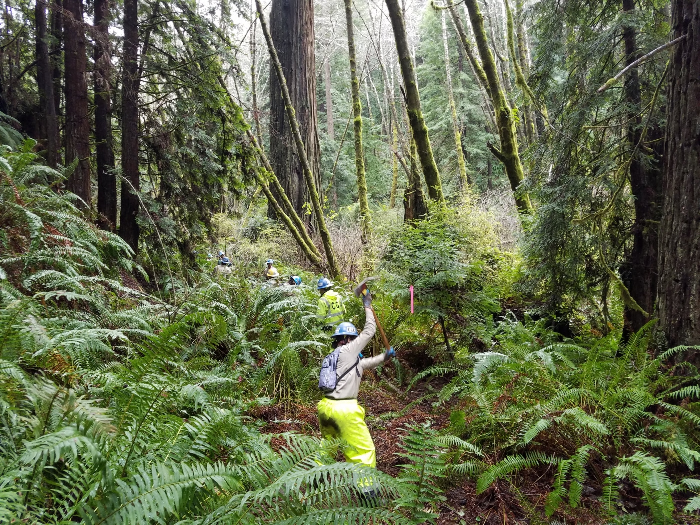 Sneak peek at 2 new Lost Coast - 20220106 124125 1