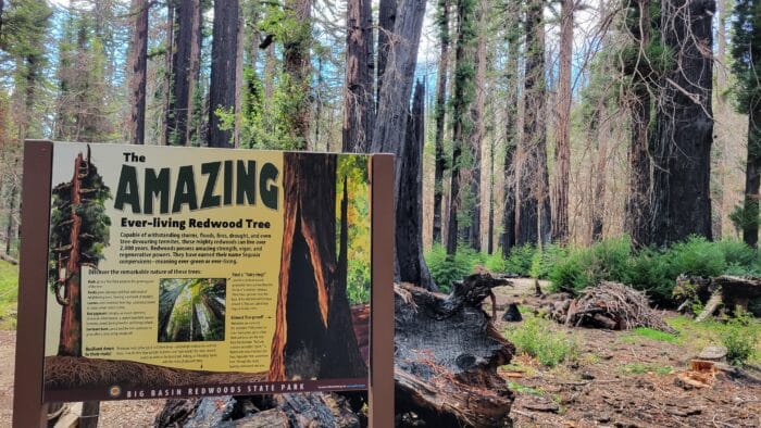 sign in big basin