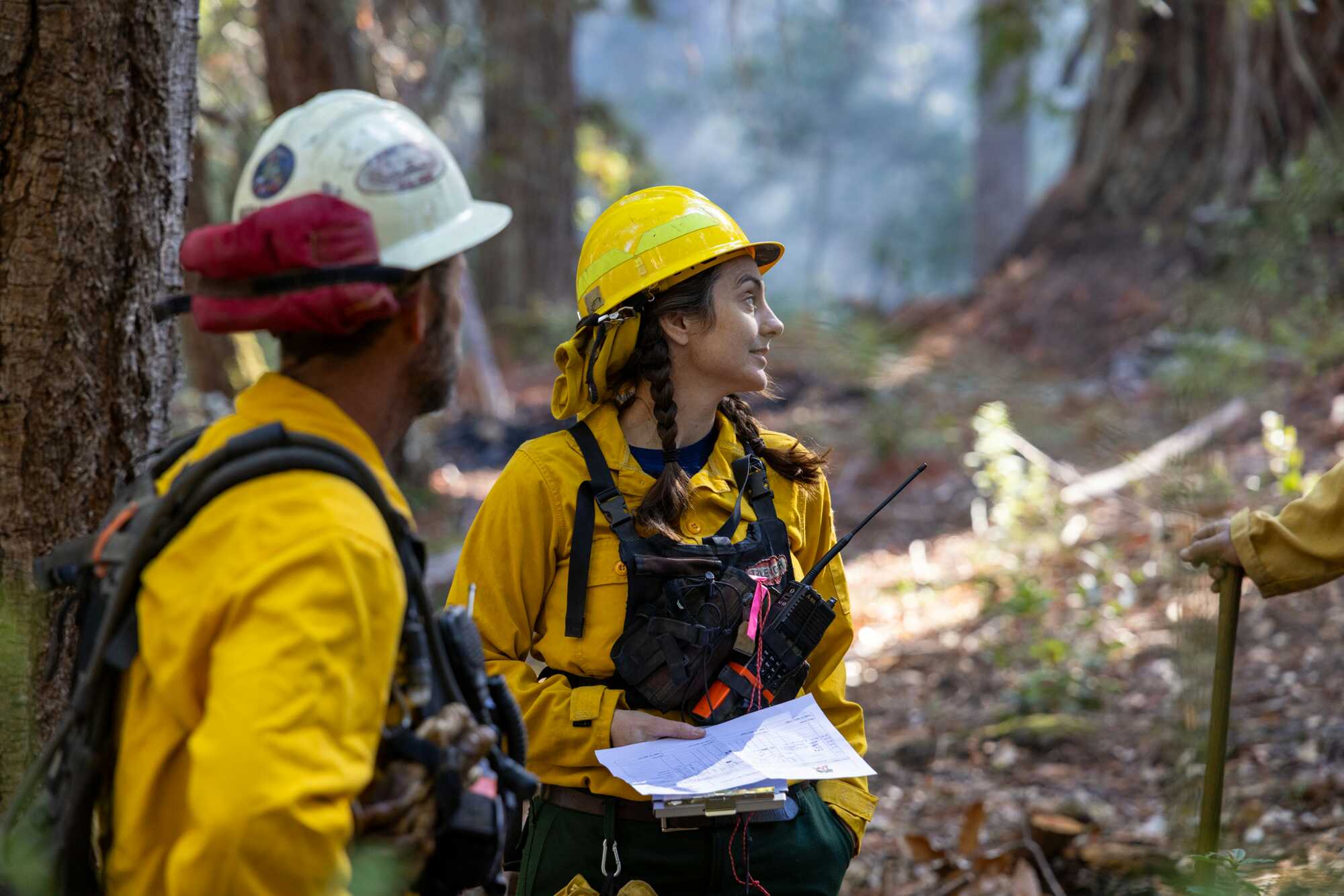 Two forest workers wearing yellow stand in a redwood forest.