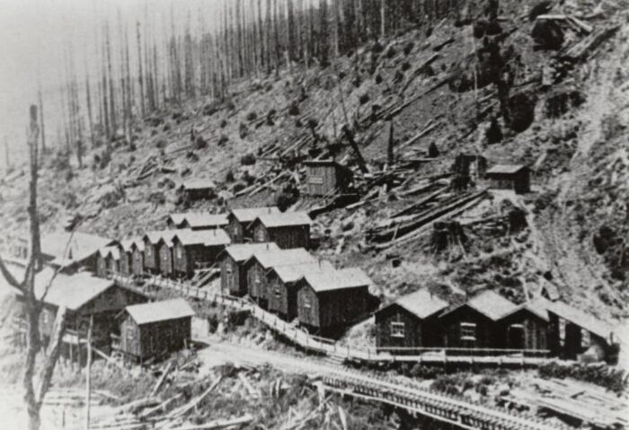 Black and white photo of several cabins lining a clear-cut hillside