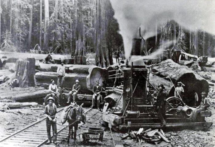 black and white of workers standing next to a "steam donkey" with huge redwood logs in the background