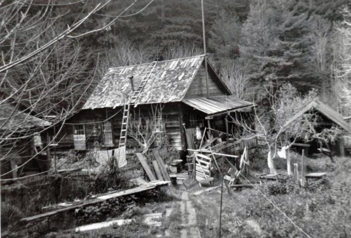 An old wooden cottage with bare fruit trees and laundry hanging in the yard.