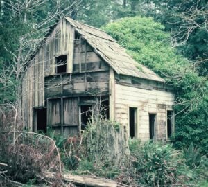 Spooky redwoods ghost town remains ‘a presence’