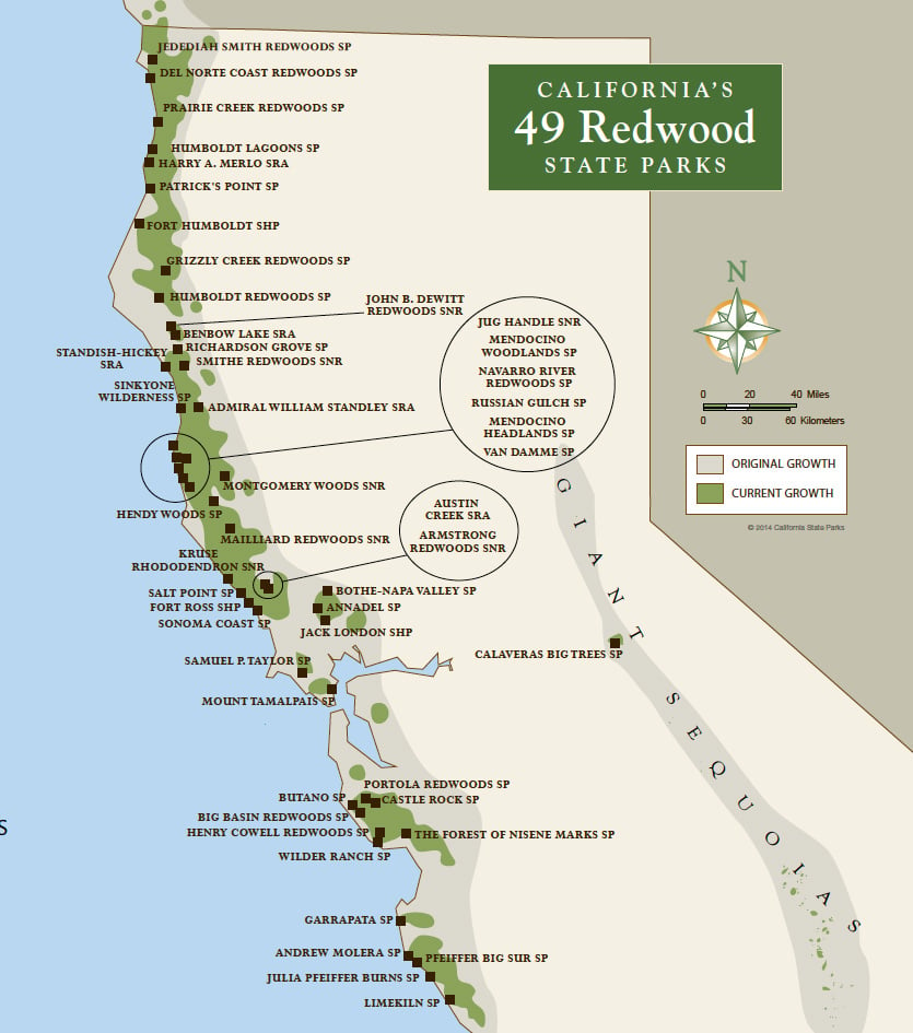 Redwood Parks Day Passes Sold Out 2015 Save The Redwoods League