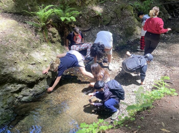 A group of students crouch into a shallow creek examining the bottom.