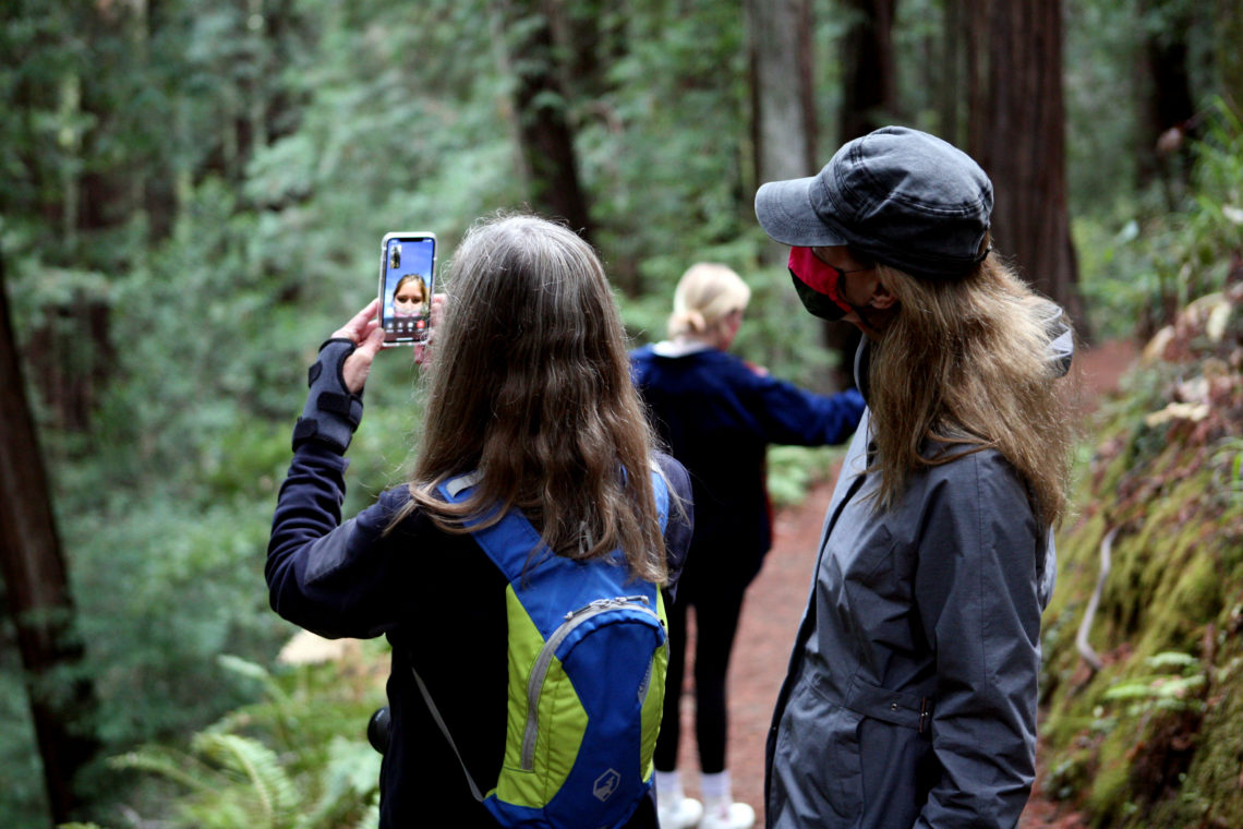 A woman pointing her mobile phone to the redwood forest