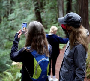 A woman pointing her mobile phone to the redwood forest