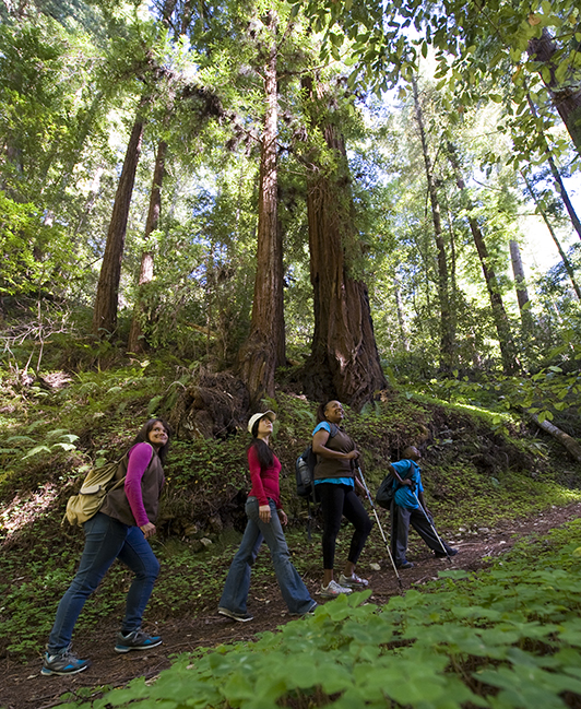 Vote "Yes" on Prop 68 to help preserve the peace and beauty of the redwood forests for future generations to come. Photo by Paolo Vescia