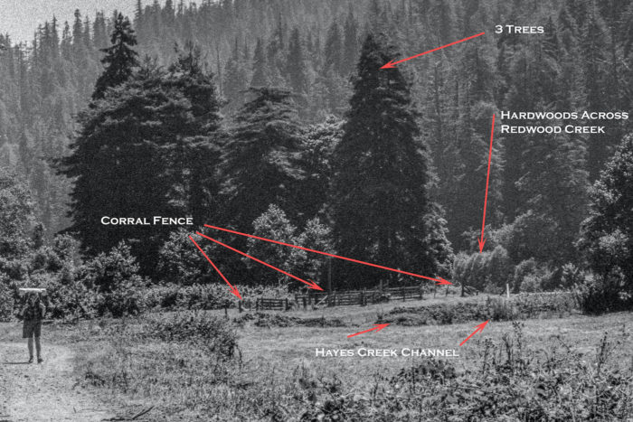 A graphic of a black-and-white photo of a clearing in a forest, with a backpacker on the left, and red arrows pointing to a corral fence, a creek channel, hardwoods, and three redwood trees.