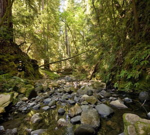 Conservation easements can permanently protect privately-owned properties like this one. Photo by Paolo Vescia.