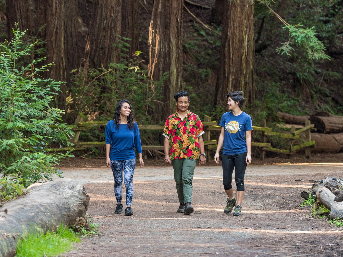 Diverse group of people walking on a redwood trail
