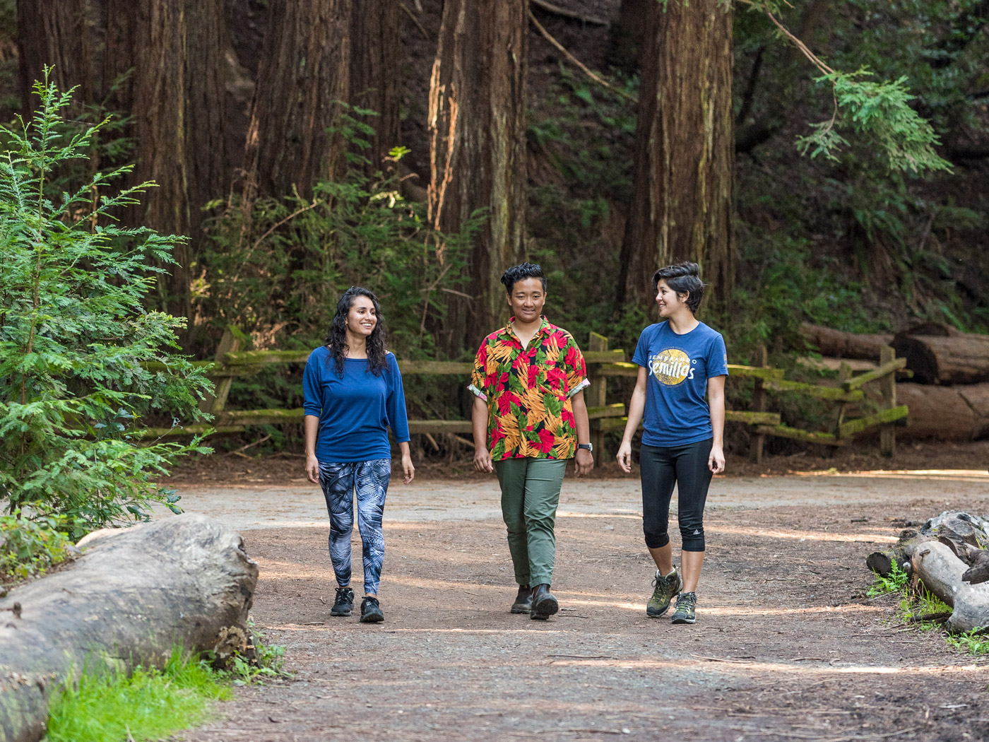 Diverse group of people walking on a redwood trail