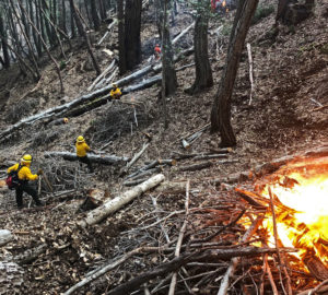 Prescribed fire in action