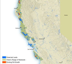 Coastal Redwoods Map