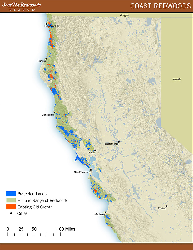 redwood forest california map Coast Redwoods Save The Redwoods League redwood forest california map