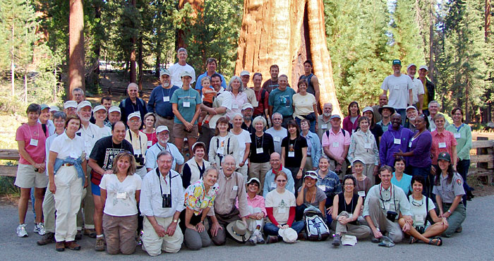 A dedicated volunteer Council and Board of Directors govern the nonprofit Save the Redwoods League. Many of these board members and League staff members are pictured here. Photo by Mark Bult