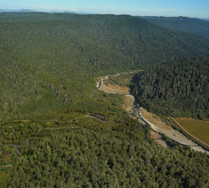 Aerial photo of the Orick Mill Site nestled within the old growth coast redwood forest and trail network of Redwood National Park. Photo courtesy of John Northmore Roberts & Associates.