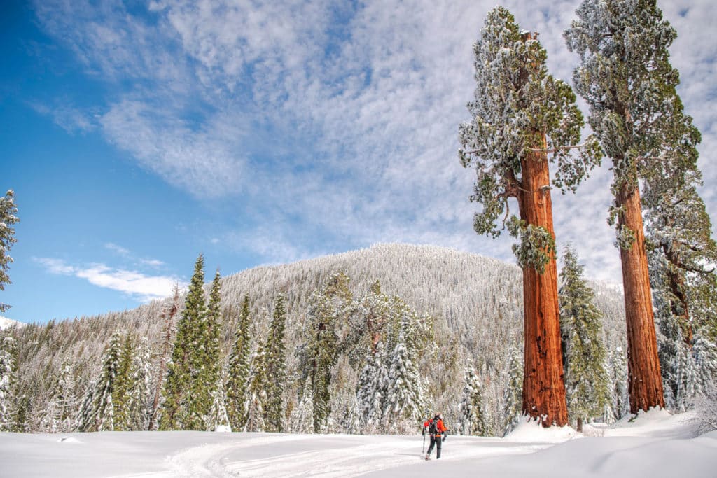 Snow on the ground at Alder Creek creates an otherworldly landscape. Photo by Victoria Reeder, Save the Redwoods League