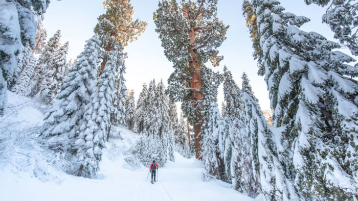 Snow at Alder Creek