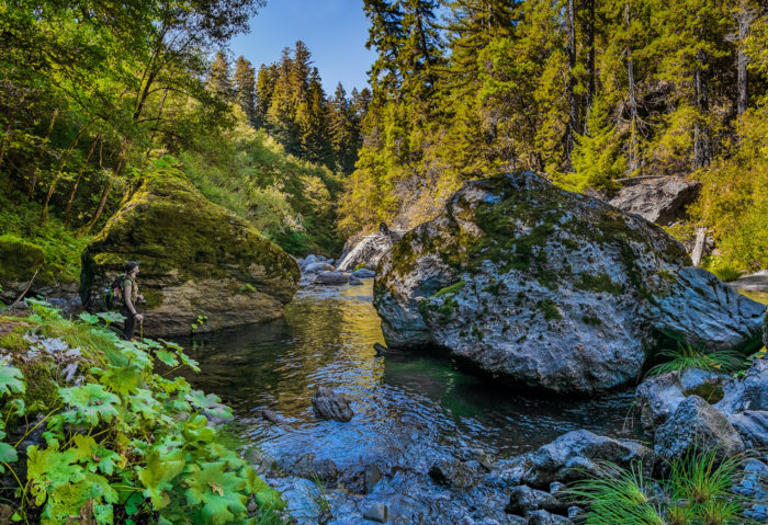 A woman stands along a creek with a large rock surrounded by lush forest.