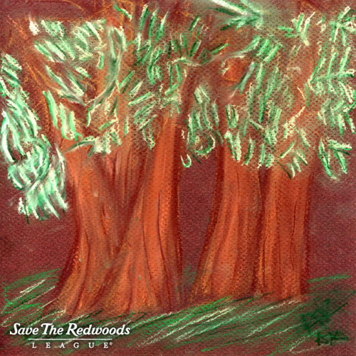 Redwoods Inspired Art - Save the Redwoods League