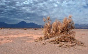 The arid Atacama Desert. Photo by wilth, Flickr Creative Commons.