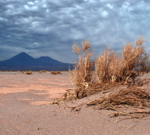 Atacama desert