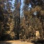 Remnants of Park Headquarters. © California State Parks, all rights reserved (2020)