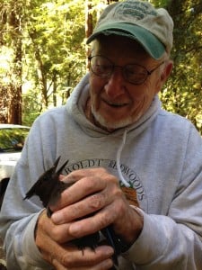 Longtime League Councilor and research advisor, Bill Libby, says hello to a squawking Steller's jay being studied at Big Basin State Park. 