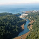 You helped protect Big River-Mendocino Old-Growth Redwoods, pictured in the upper left, near the town of Mendocino in the upper right. Photo by birchardphoto.com