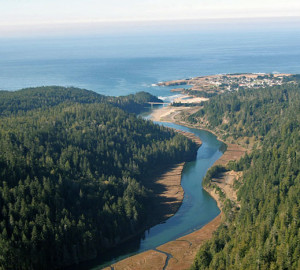 You helped protect Big River-Mendocino Old-Growth Redwoods, pictured in the upper left, near the town of Mendocino in the upper right. Photo by birchardphoto.com