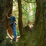 Sam Hodder, League President and CEO, explores the ancient redwoods at Big River-Mendocino Old-Growth Redwoods. Photo by Mike Shoys