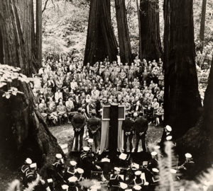 Photo: James A. Lawrence [#8280]. Save the Redwoods League photograph collection. Courtesy of The Bancroft Library, University of California, Berkeley