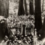 Muir Woods Commemorative Ceremony, May 9, 1945. Photo: James A. Lawrence [#8280]. Save the Redwoods League photograph collection [graphic], BANC PIC 2006.030-PIC, Carton 5. Courtesy of The Bancroft Library, University of California, Berkeley.