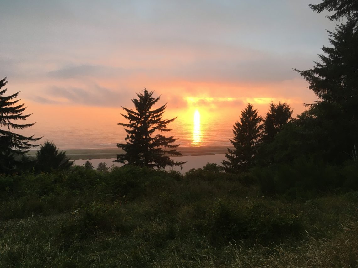 A view between trees, of the sunset over the ocean