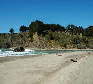 Navarro Beach. Photo by Clinton Steeds, Flickr Creative Commons