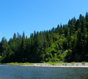 Benbow State Recreation Area, Photo by humboldthead, Flickr Creative Commons