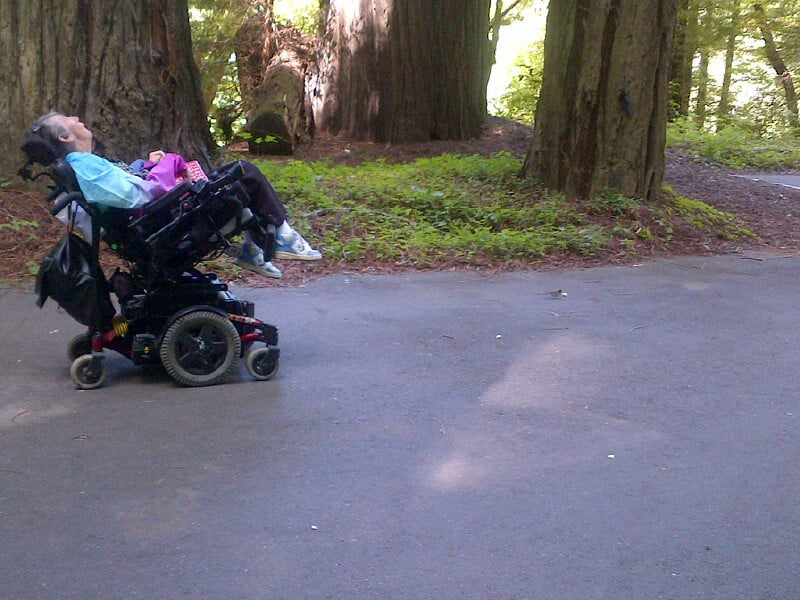 Betty taking in the tall trees at Humboldt Redwoods State Park
