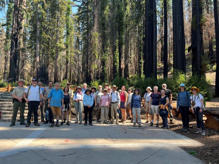 2022 redwood hike big basin