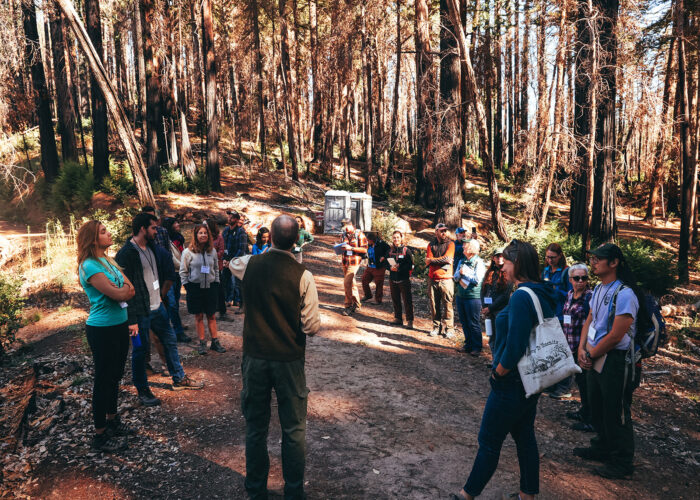 Interpreters training at Big Basin Redwoods State Park