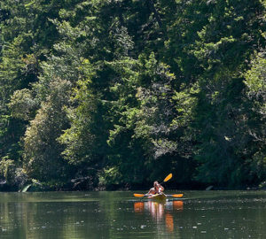 12 ways to make the most of summer in the redwoods