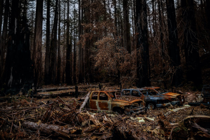 Eight months after the 2020 CZU Lightning Complex fire destroyed 97% of Big Basin, California's first state park.