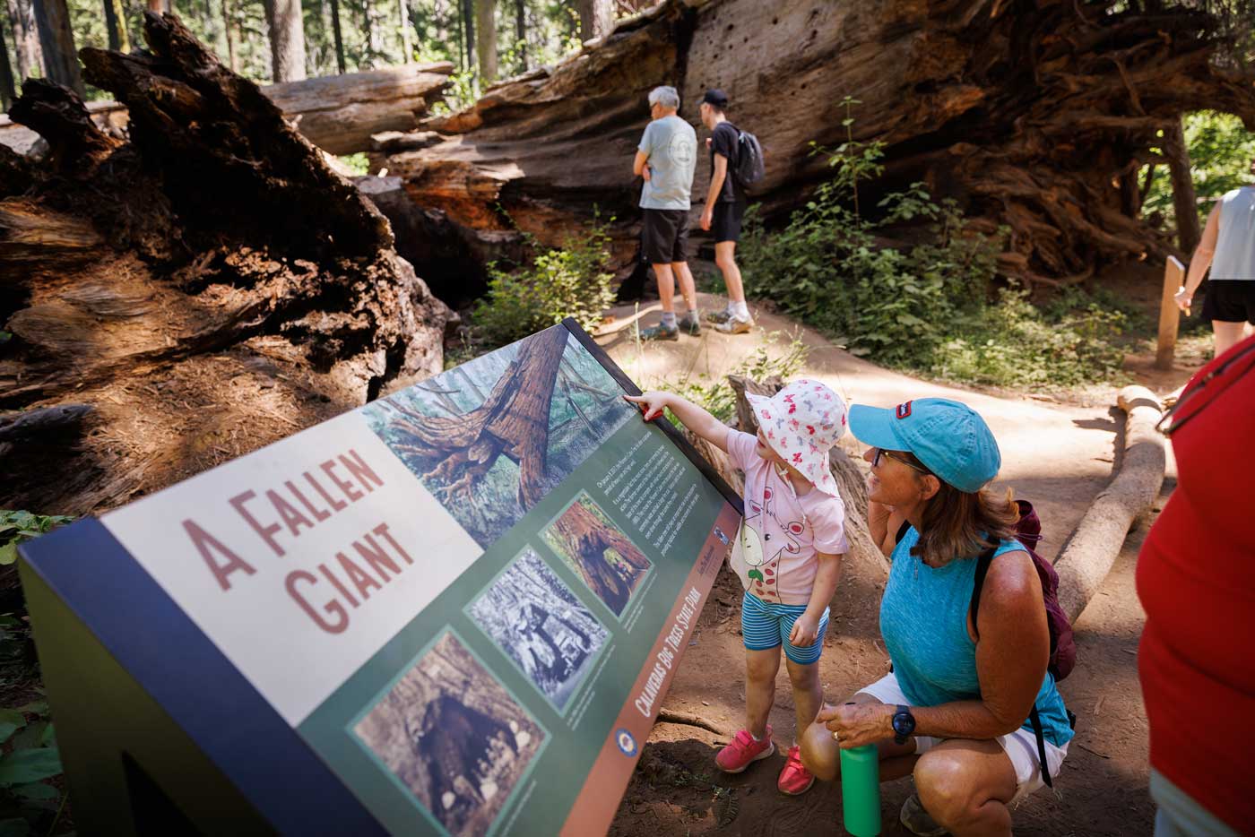 A woman and a little girl reading an interpretive panel about the Pioneer Cabin Tree