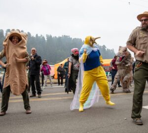 A wild party for the big trees