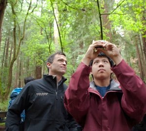 Students collected data about the redwoods forest at BioBlitz 2014.