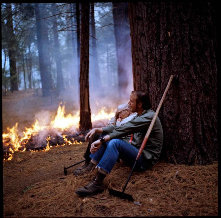 Two men - one younger, one older - rest again a large tree trunk with a rake. Fire burns in the backgrounds.