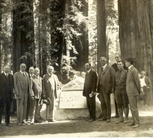 The Bolling Grove was dedicated more than 90 years ago in what is now known as Humboldt Redwoods State Park.
